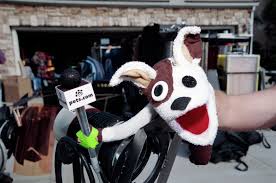 Pets.com kojinė-lėlė su mikrofonu